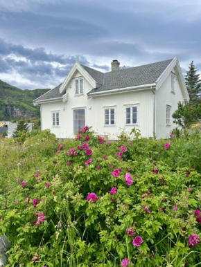 Historic House, 1880 - Stunning Panoramic Views
